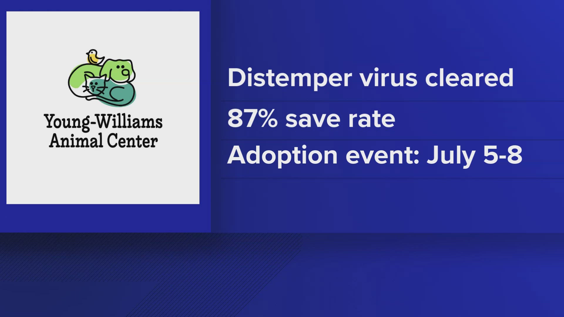 ​Young-Williams said it had a save rate of 87% of the dogs in its care, with 160 out of 187 being saved.