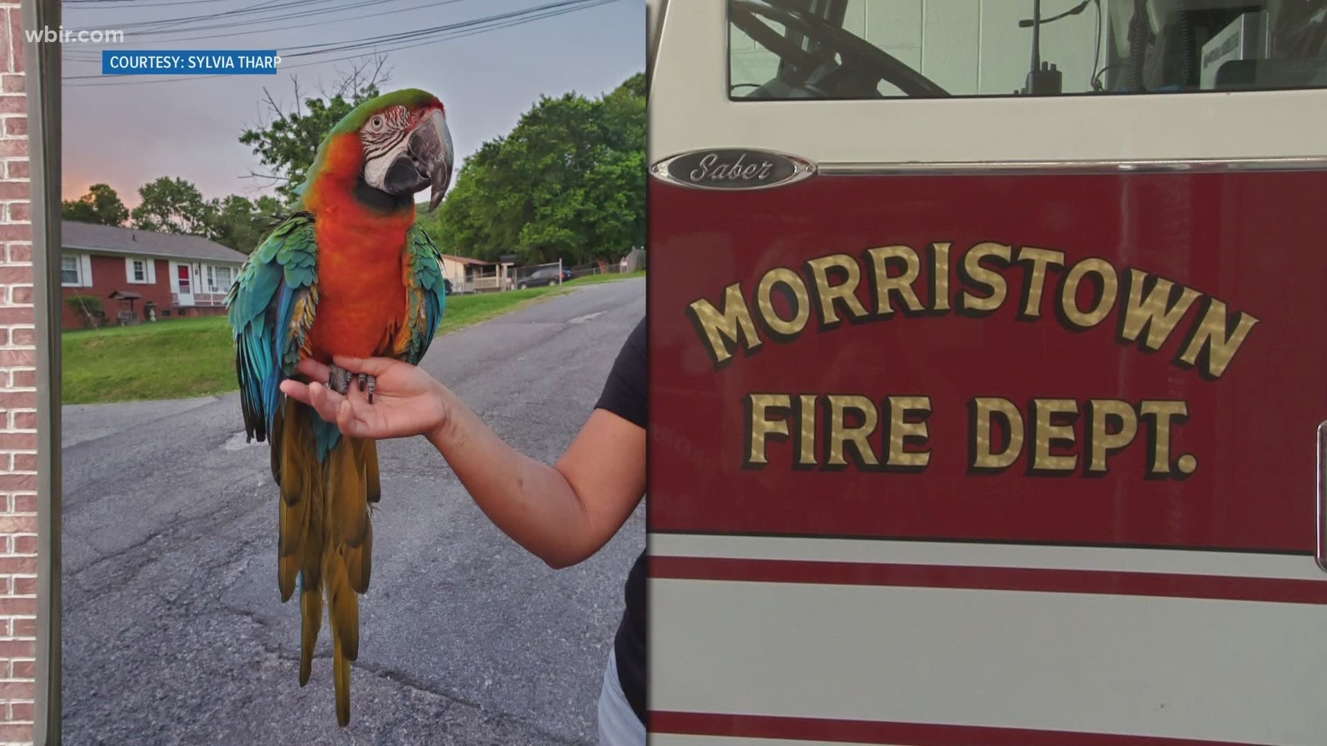It was an average day at the Morristown Fire Department. That is until firefighters got a call they never expected.
