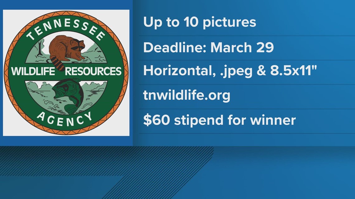 TWRA collecting photo submissions for 20242025 calendar contest