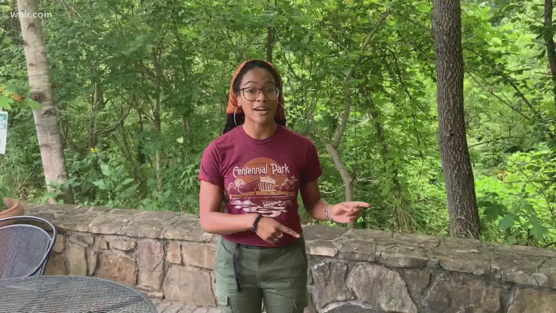 Visit ijams.org for more on the Volunteer needs at Ijams Nature Center. July 27, 2020-4pm.