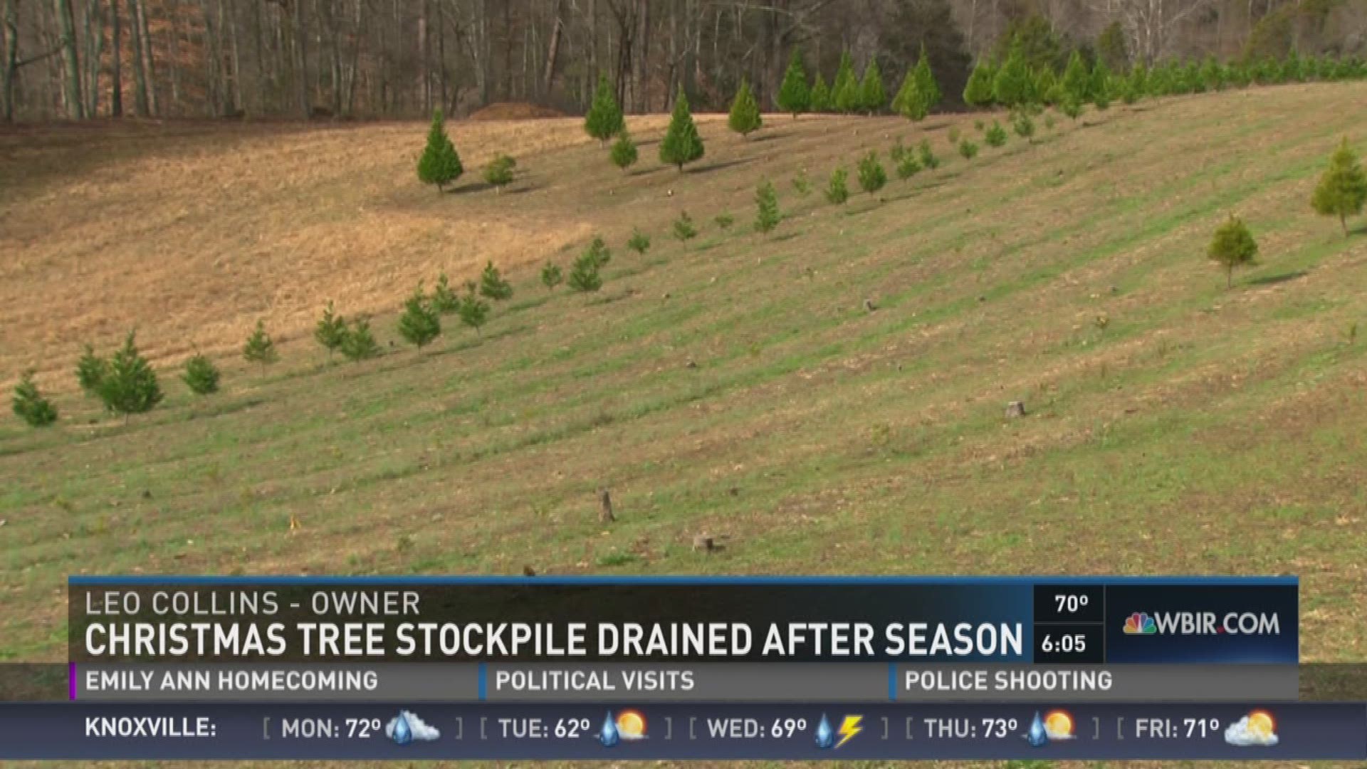 The owner of Blue Bird Christmas Tree Farm talks about his severe supply shortage following the 2015 Christmas season