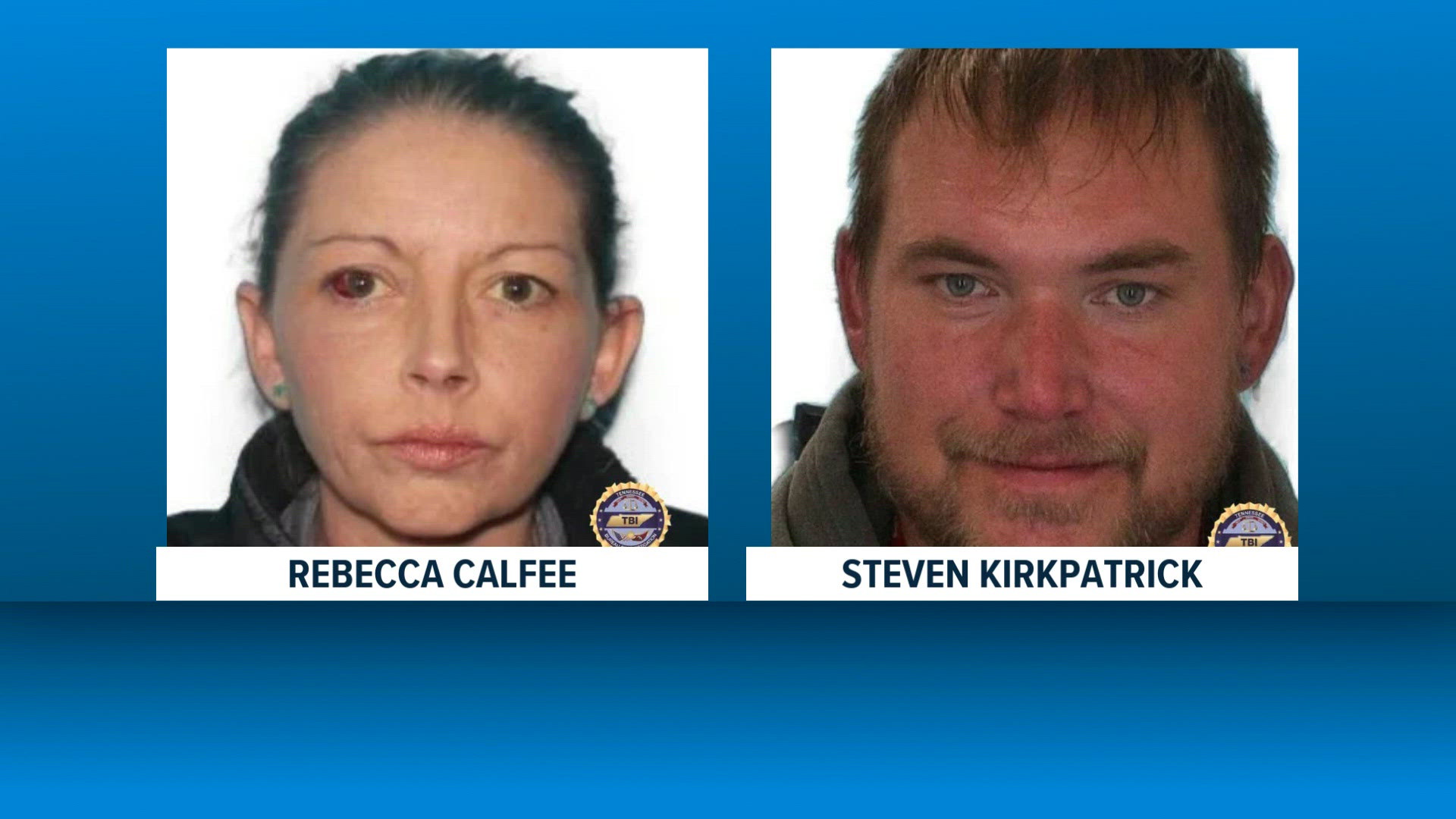 Missing children from Hawkins County found in Georgia after Flock ...