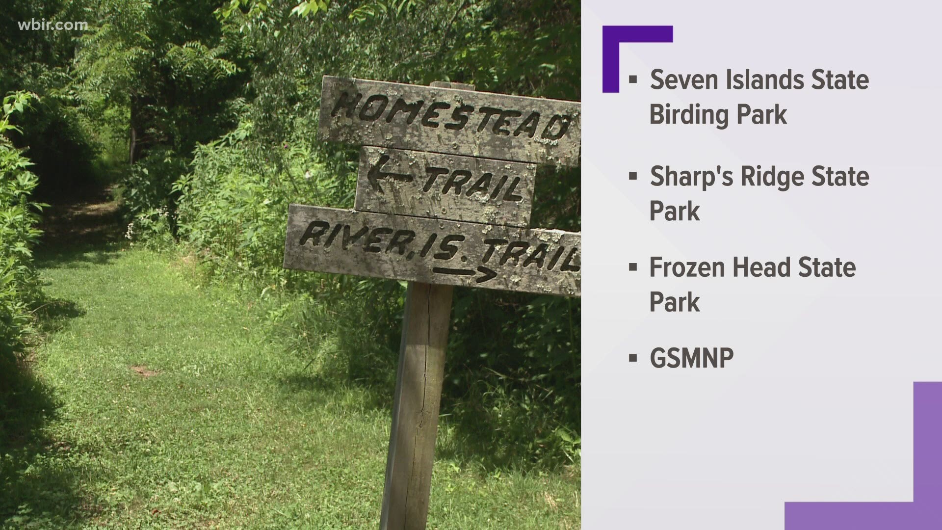 There is no shortage of birdwatching spots in East Tennessee!