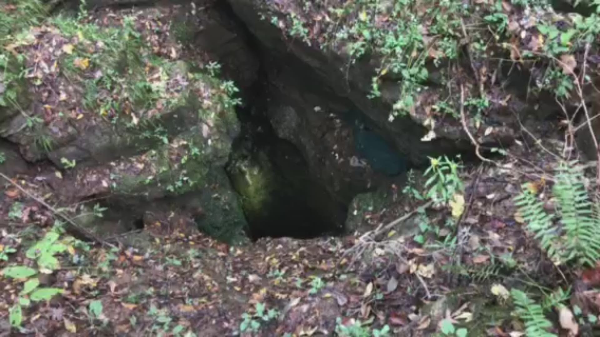KVERS Cave/Vertical Team is responding at the request of Union County Sheriffs Office to two dogs in a deep sinkhole.