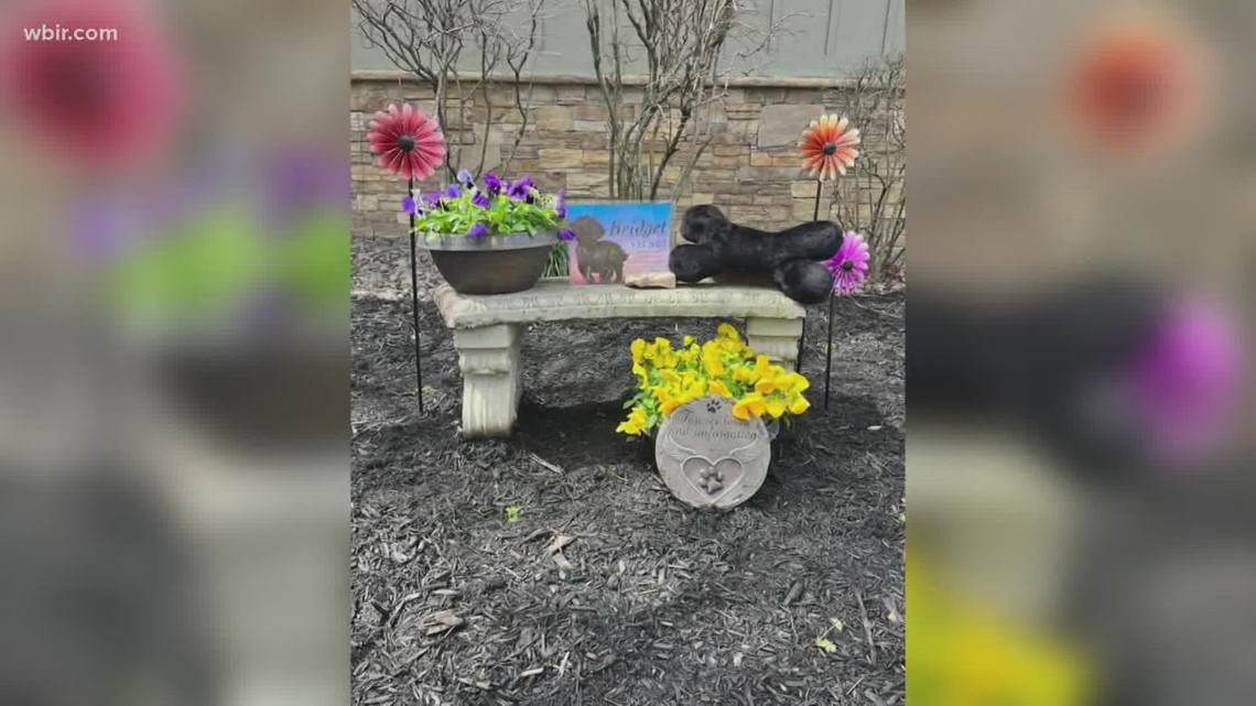 'Devastated and heartbroken' Dog abandoned behind Knoxville dumpster