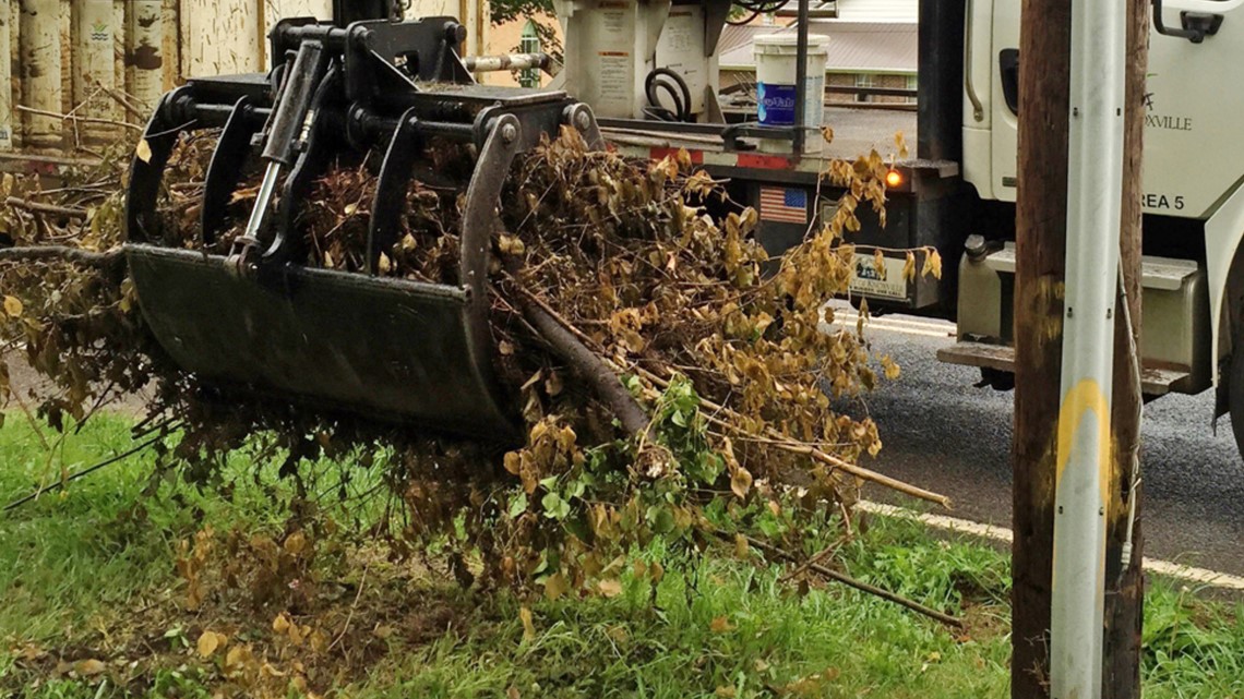 Knoxville's biweekly brush pickup begins