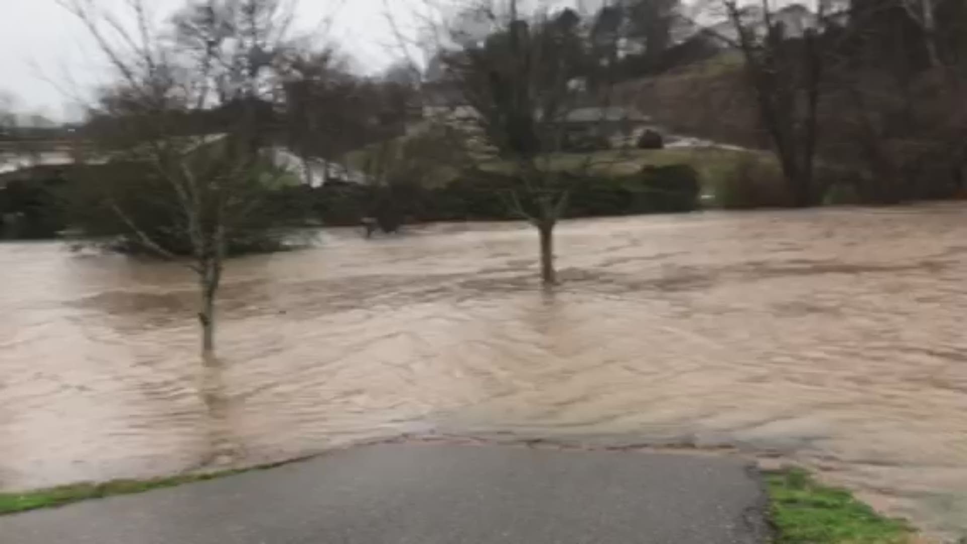 Branson Self shared this video of high water at the Greenbelt Park in Maryville on Thursday morning, Feb. 6, after heavy rains.