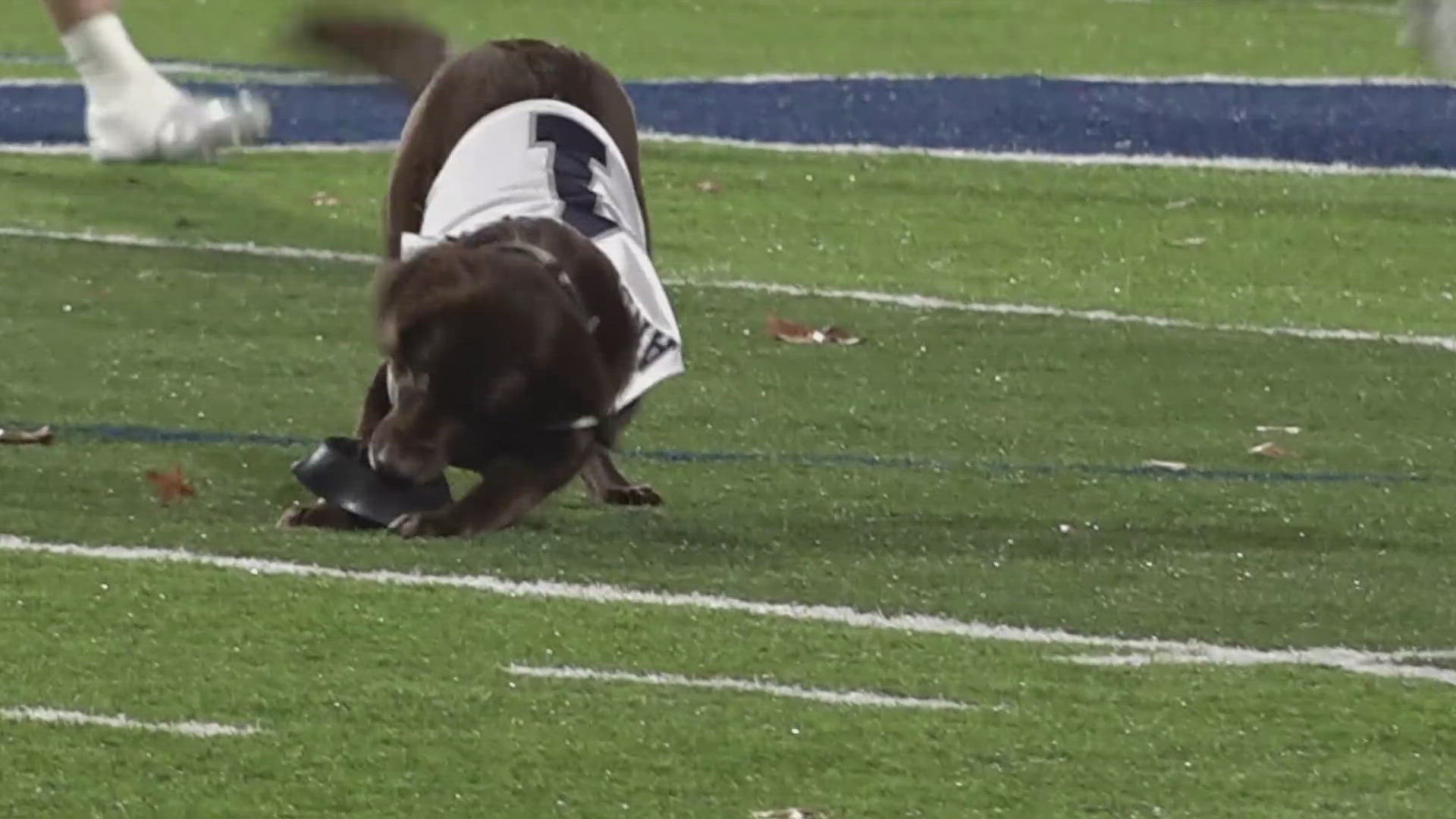 Anderson County beat Northview in the first round of high school football playoffs.