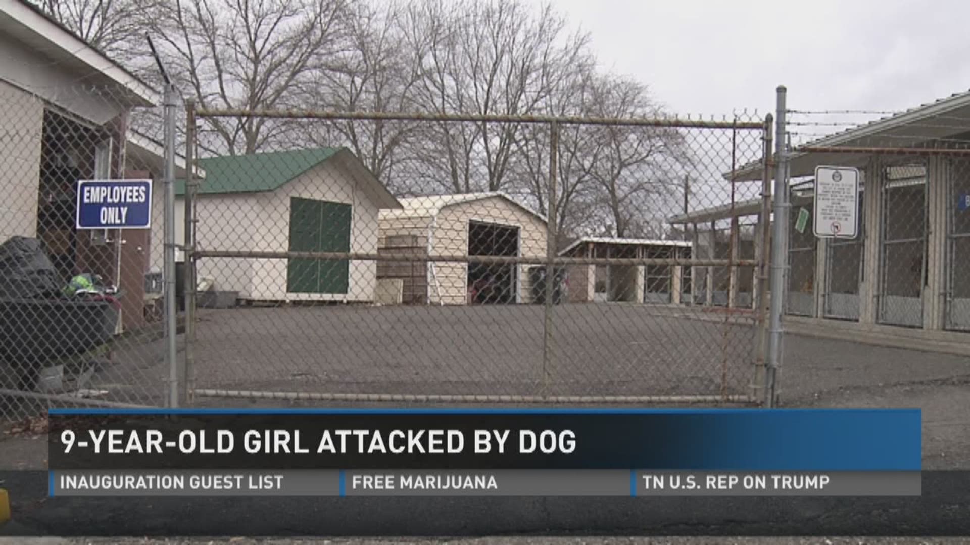 Jan. 3, 2017: An Athens mother is worried a large dog that attached her daughter could hurt another child if authorities fail to find it.