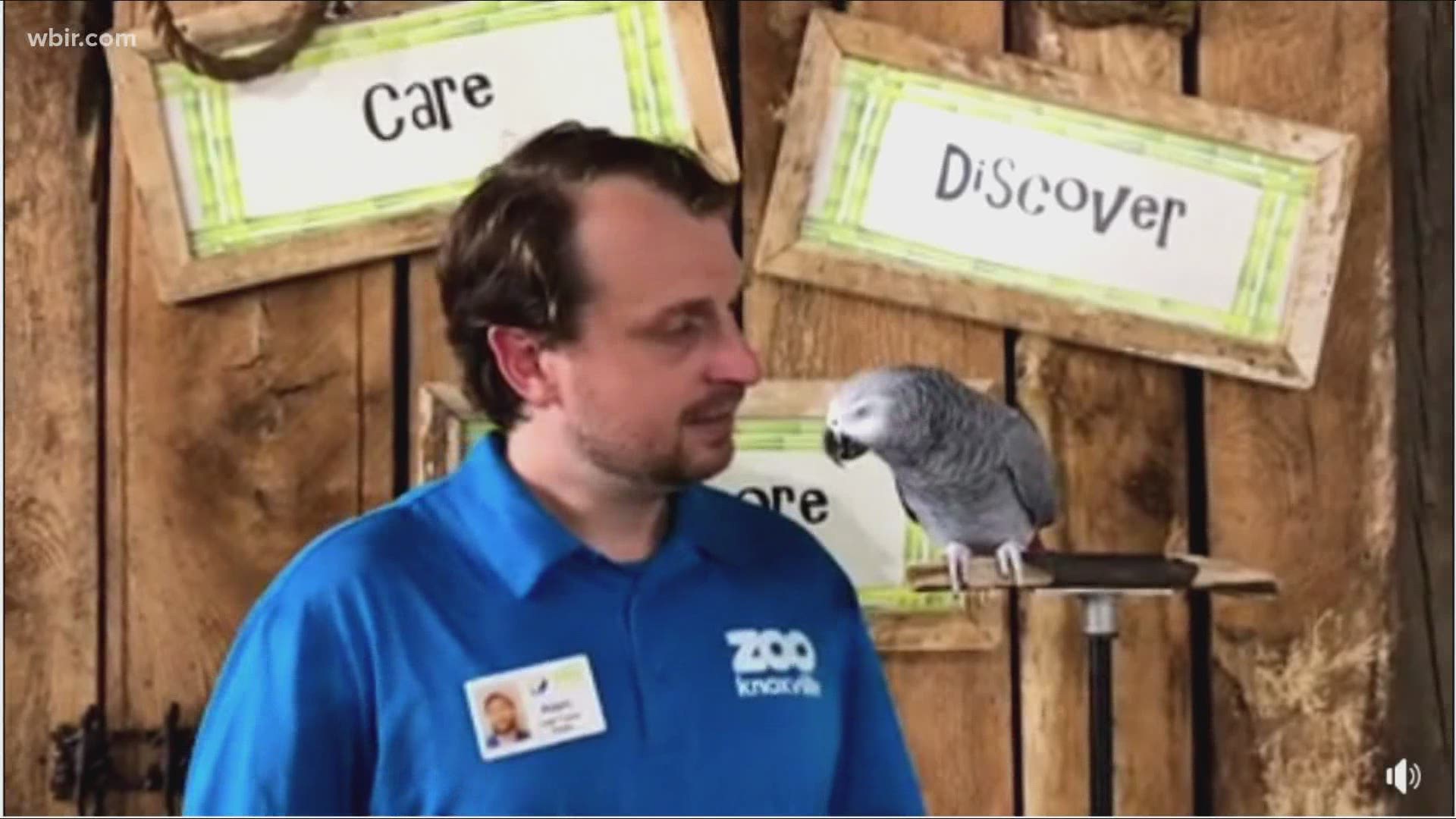 Einstein the African Parrot, one smart bird, now is offering personalized messages - for a price.