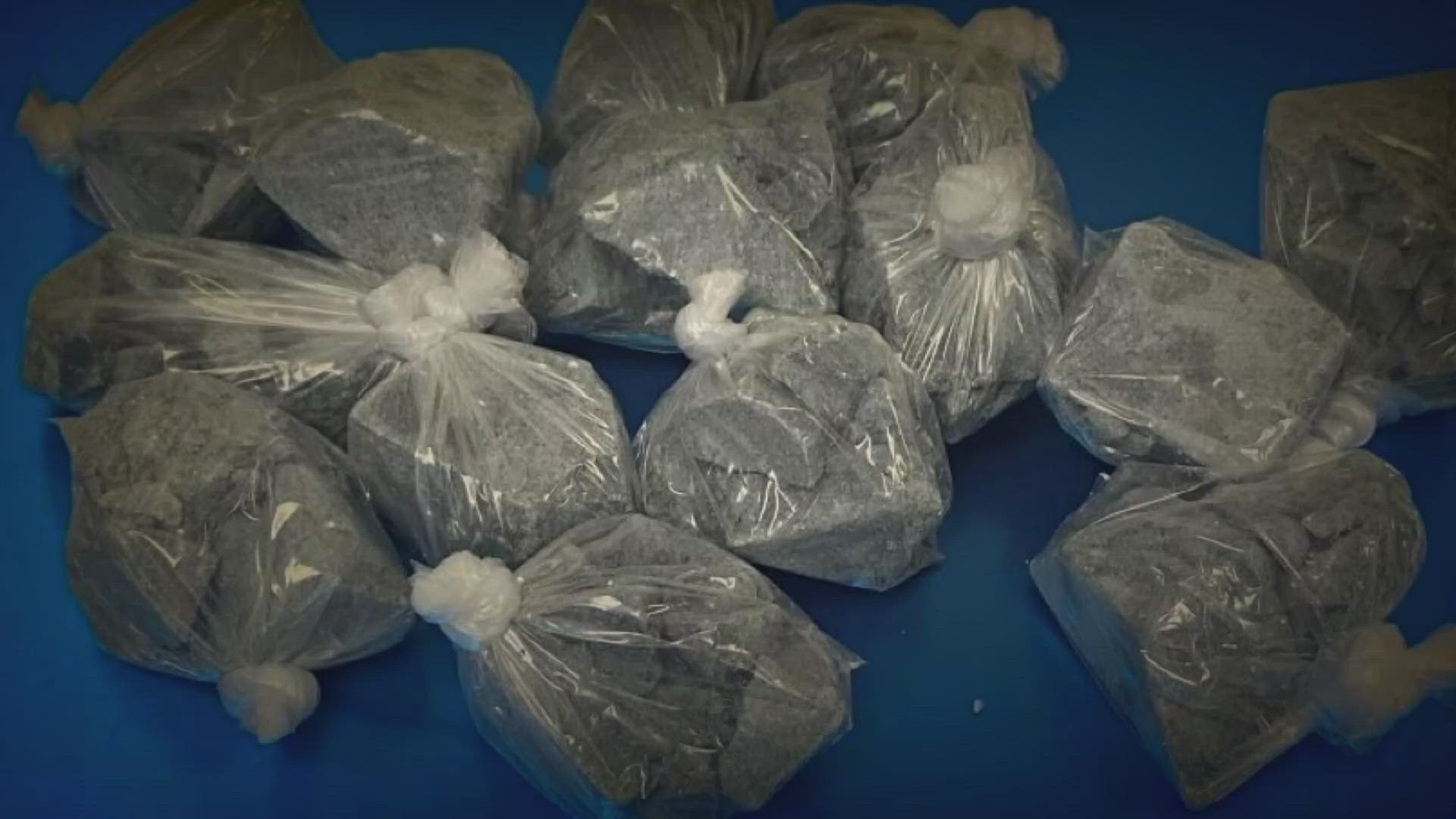 In May, 31 people died from suspected ODs, bringing this year's total to 151. There were 217 total deaths from January to May of 2023.