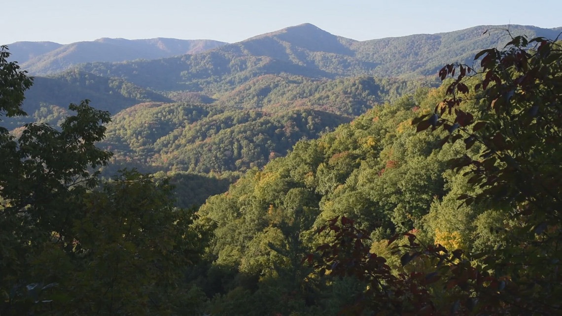 FEMA delivers over $60M in disaster aid to Southeast, boosting Tennessee recovery efforts