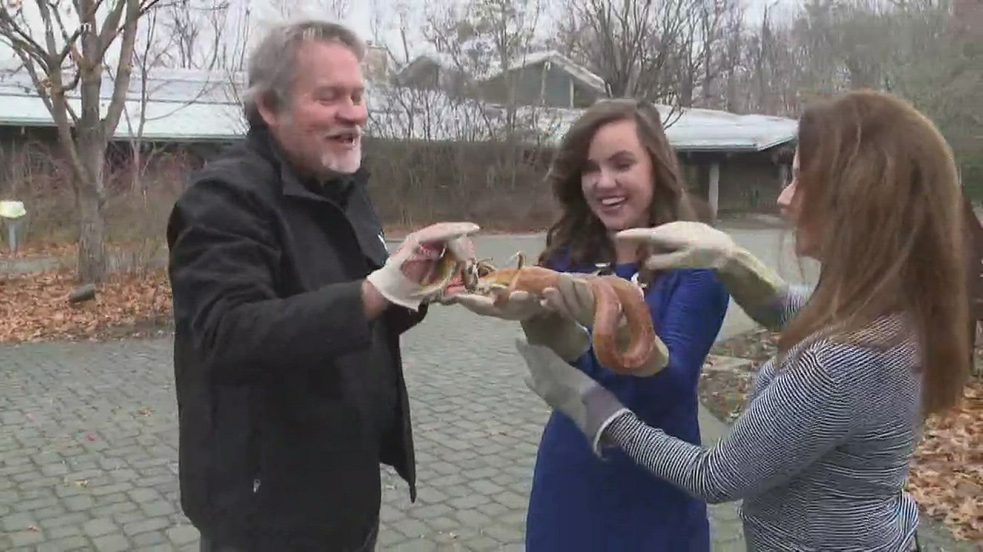 Brave new reporter Emily DeVoe meets some of the slithering residents at Ijams Nature Center.December 19, 2017-4pm