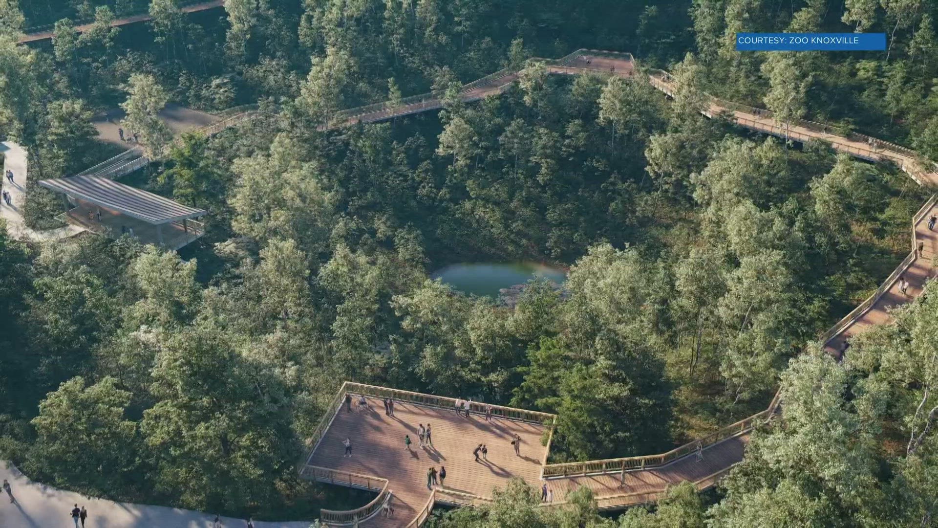 The Ravine at Zoo Knoxville will be a floating boardwalk designed as an old-growth hardwood forest encircling a 3-acre natural ravine.