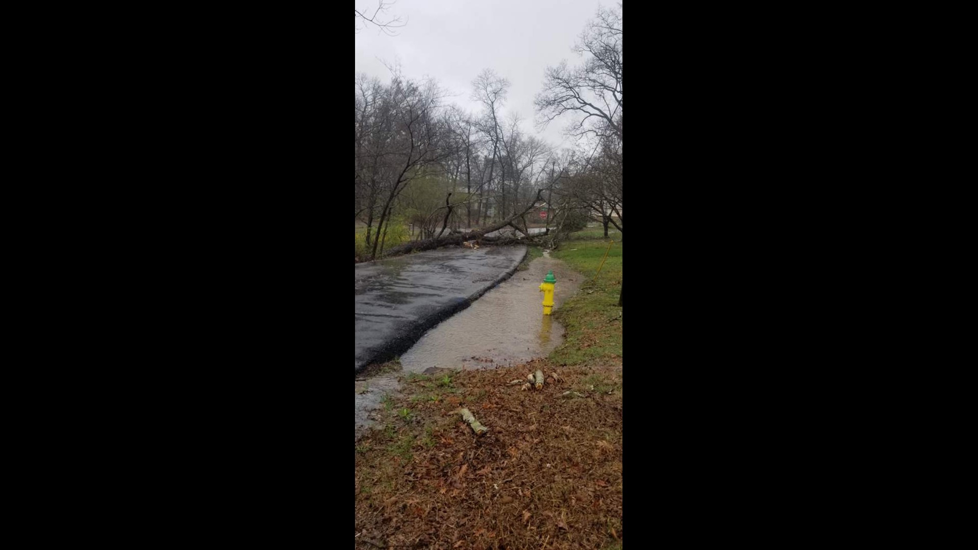 East TN sees damage, power outages after strong storms