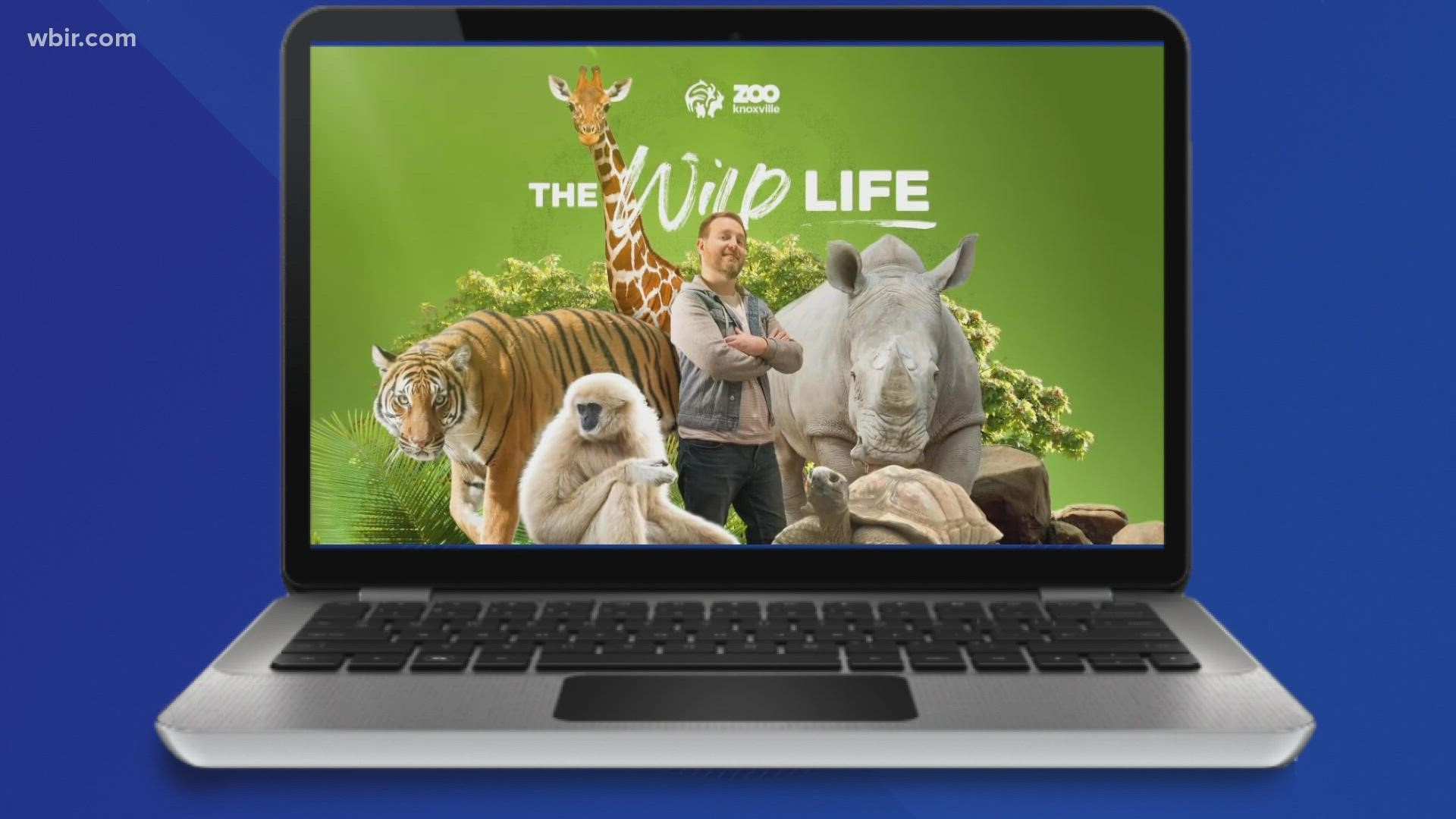 The series started a year ago and focuses on different animals and exhibits at the zoo.