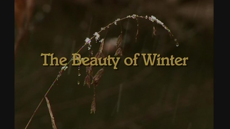 Heartland Series Vol. 31 — Episode 3: The Beauty of Winter