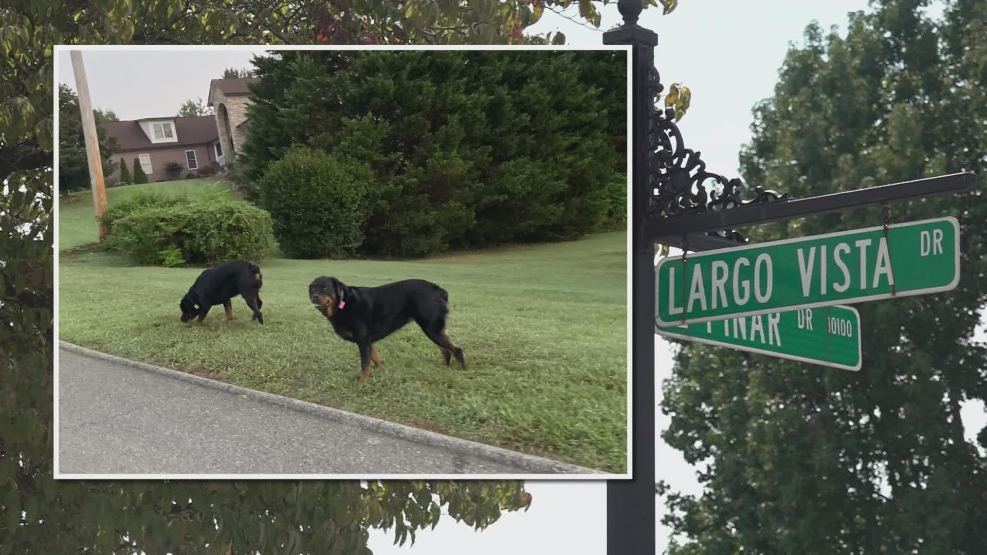 A man took his small dog out for a walk near Farragut, before he was attacked by two larger dogs and he ran to a neighbor's garage for safety.