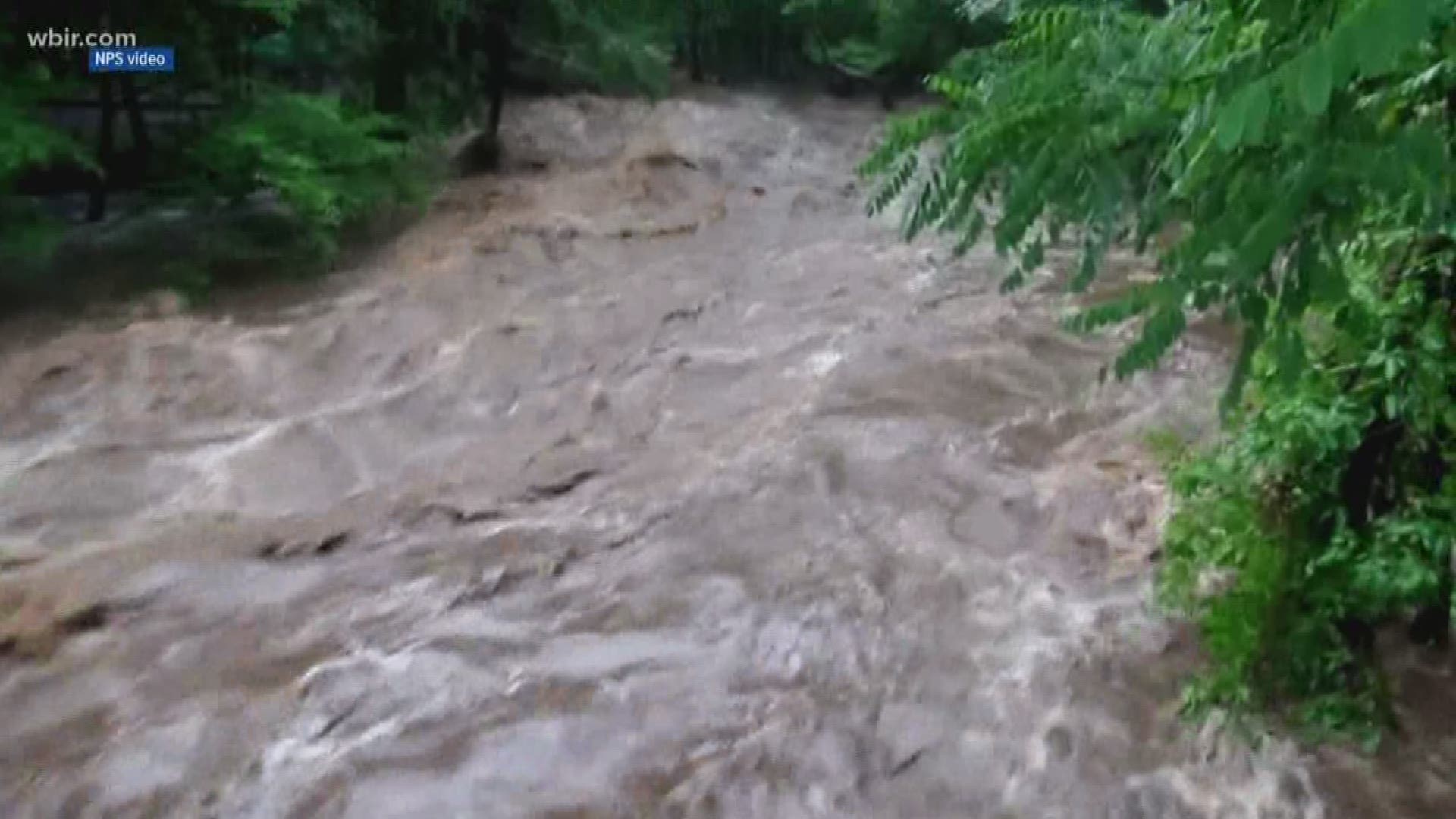 The NPS said it evacuated the campground out of precaution after heavy rains forced a Flash Flood Watch to be issued in the Smokies.