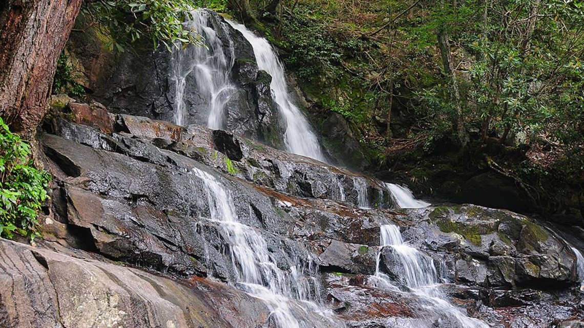 Cades Cove closed Other places to visit in the Smokies