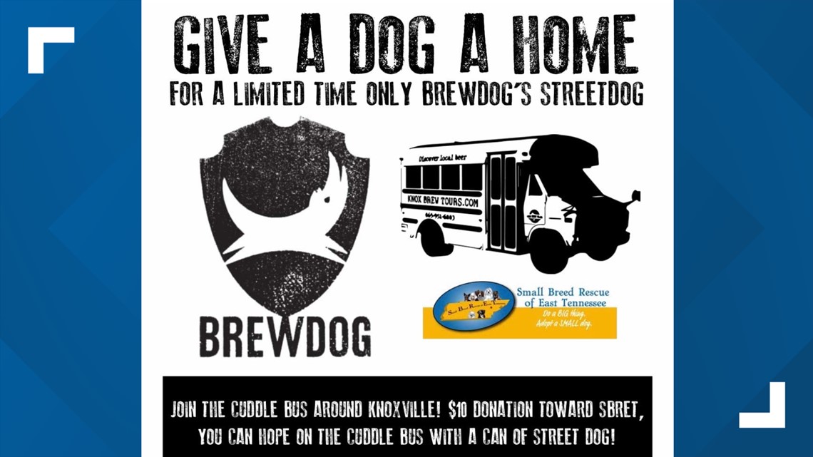 The Cuddle Bus Tour continues! | Dog adoption event kicks off Sunday at Bearden Beer Market - Vimarsana News