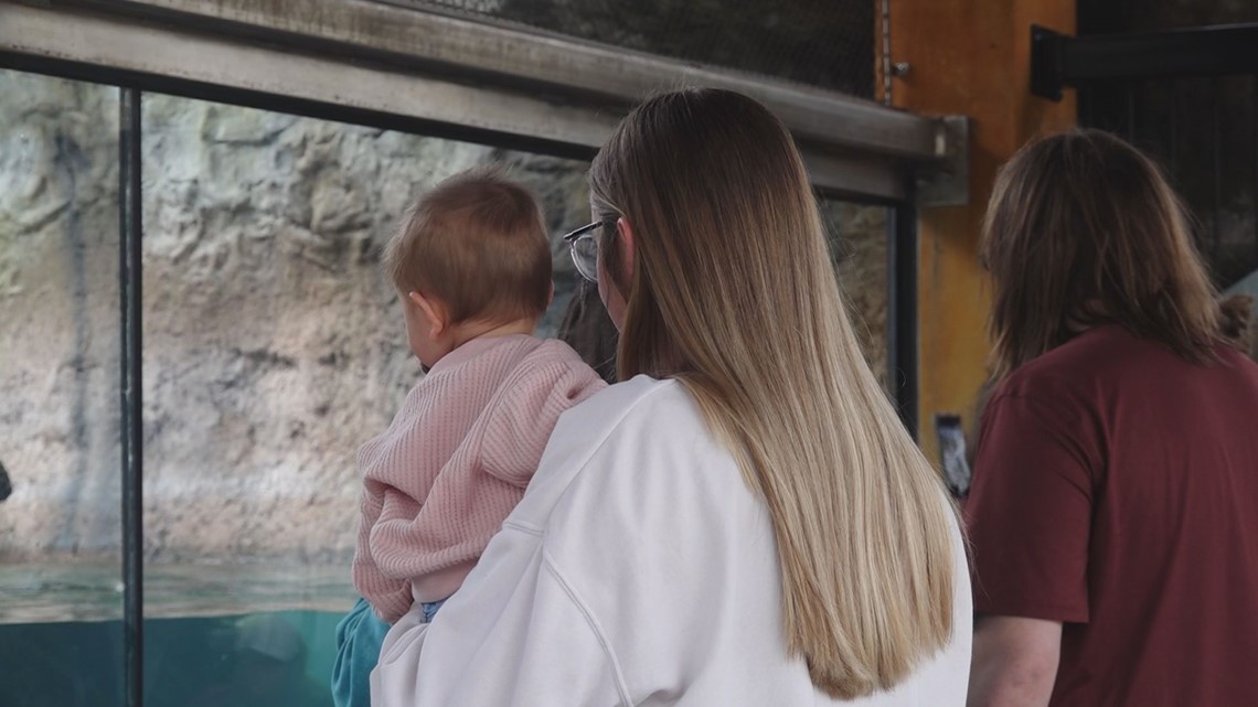 Zoo Knoxville has free zoo day for kids with special needs - Vimarsana News