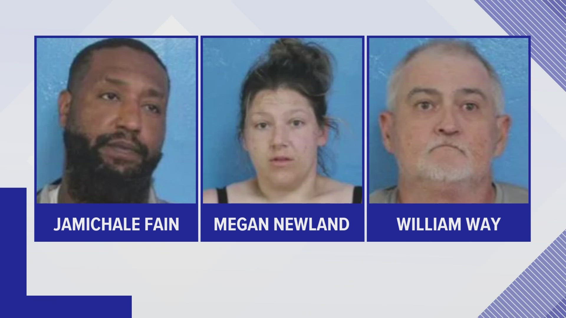 Jamichale Wayne Fain, 34, Megan Danielle Newland, 34, and William Way, 56, were responsible for providing the drugs.