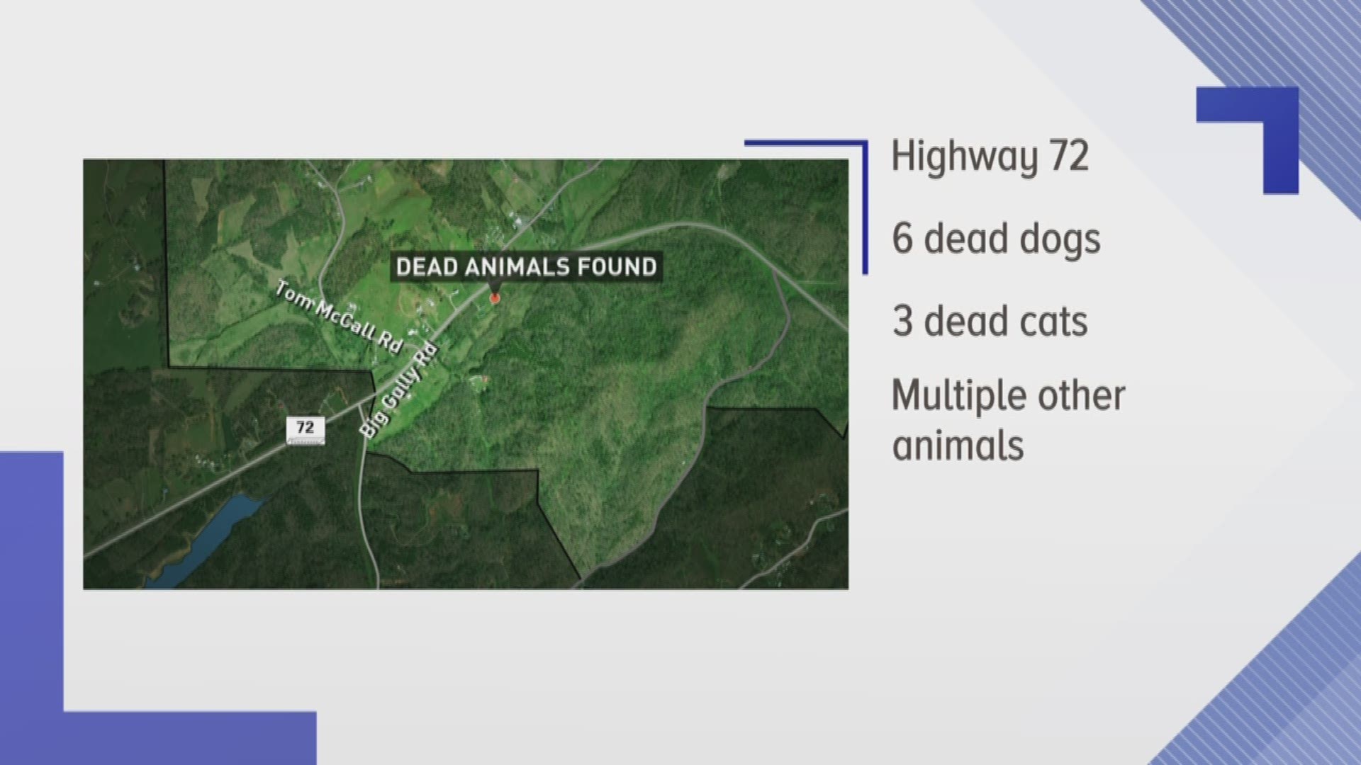 Maryville woman sentenced to 120 days in jail in animal cruelty case ...