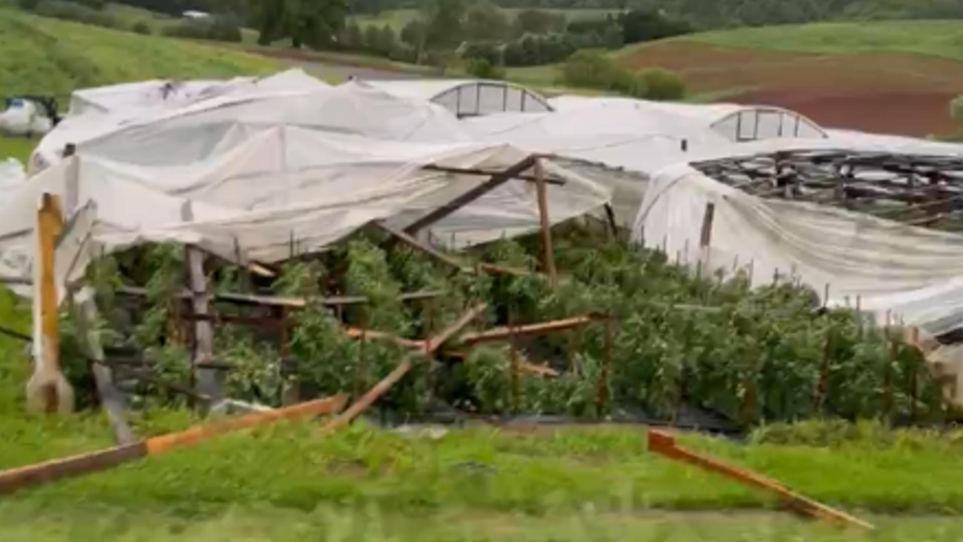 The farmer said 16 of his greenhouses were damaged badly by strong storms that hit Rutledge on Wednesday.