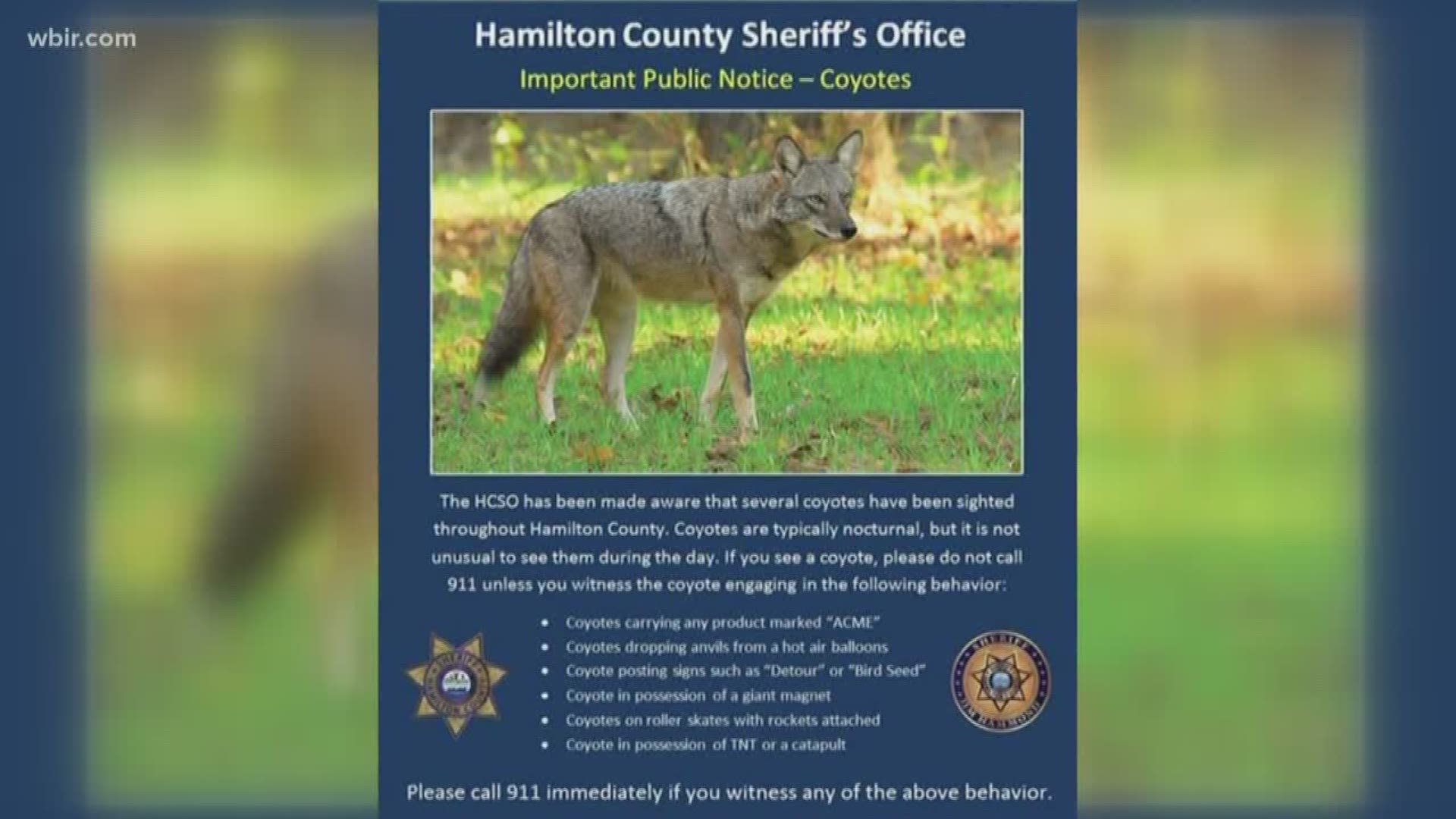 The HCSO was getting lots of calls about coyote sightings, so they released a public notice asking the public not to call 911 about coyotes, unless, of course, the coyotes are carrying ACME anvils.