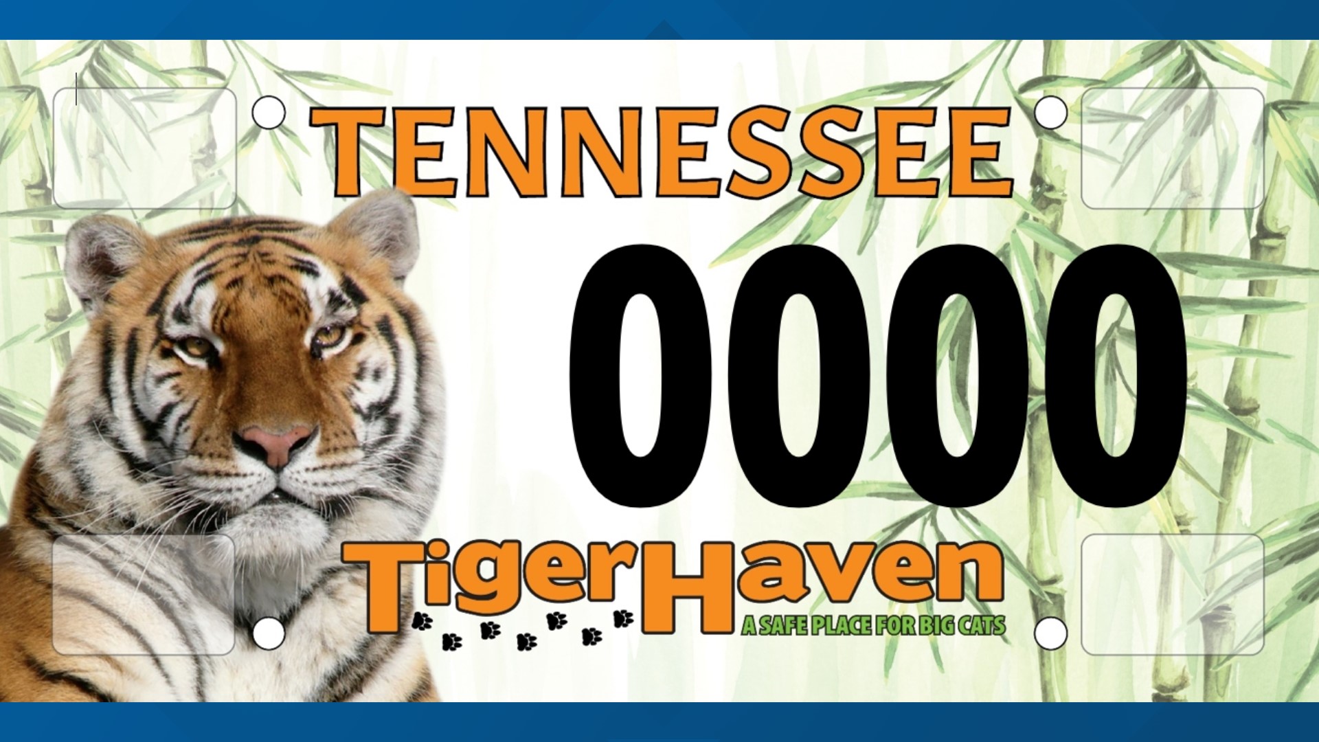 Tiger Haven looking for pre-orders of specialty license plate ahead of ...