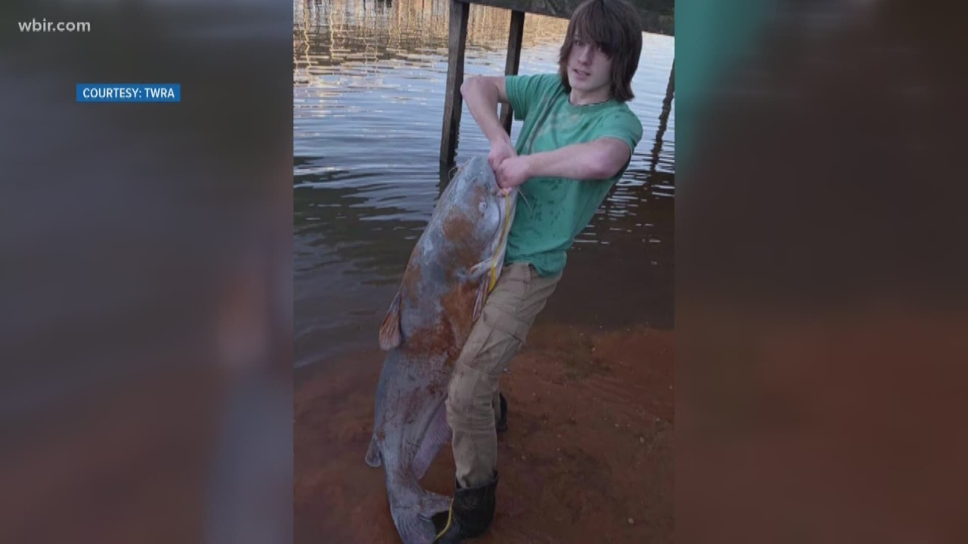 Fishing Report Fort Loudon Lake Nashville District Locations Lakes