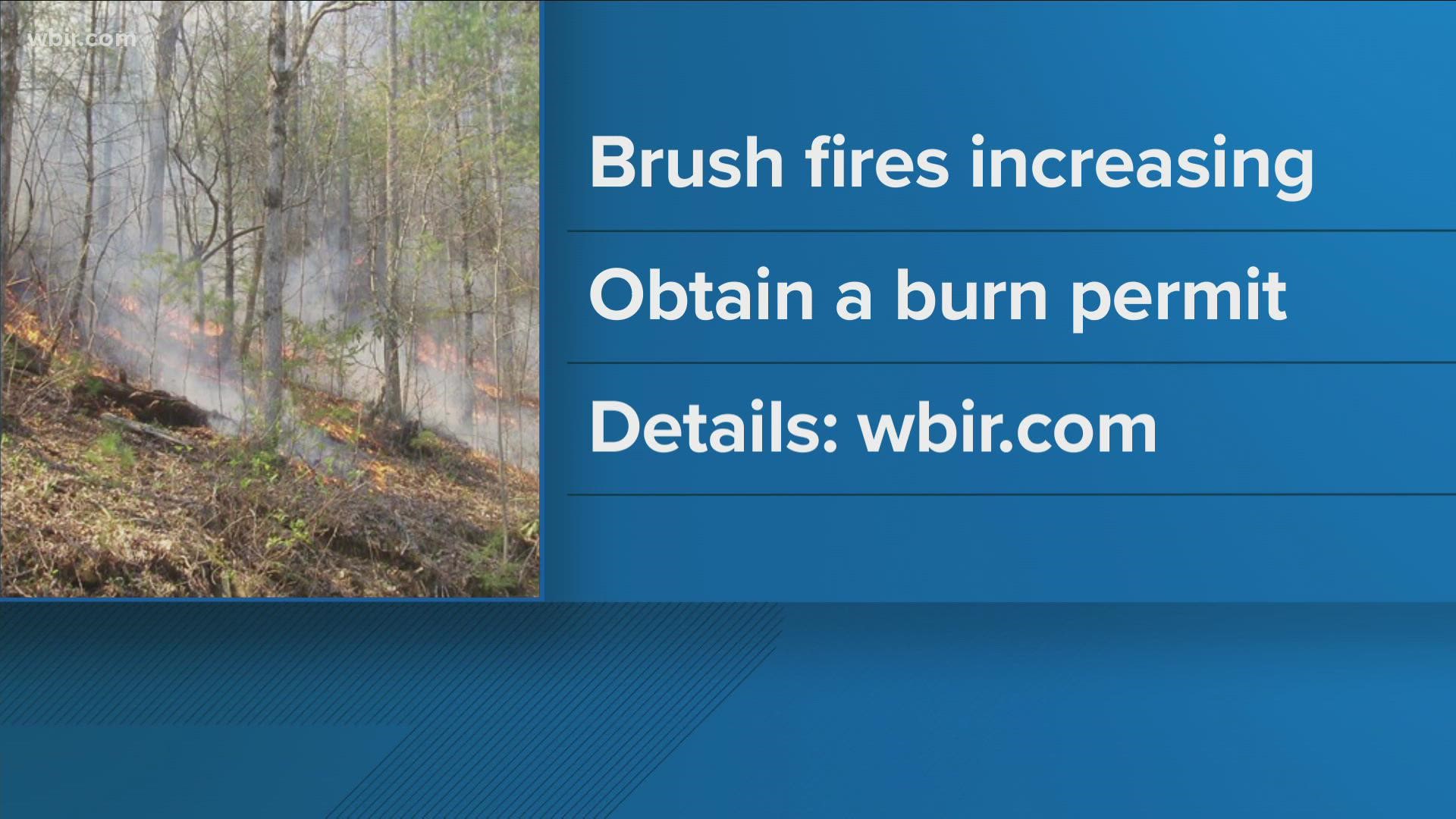 Conditions remain relatively dry. You need a state permit when burning "vegetative" debris.