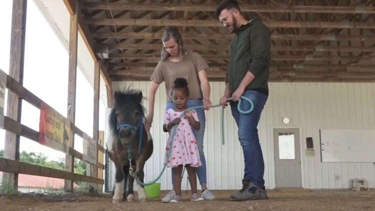 Nonprofit uses horses to help people heal from trauma