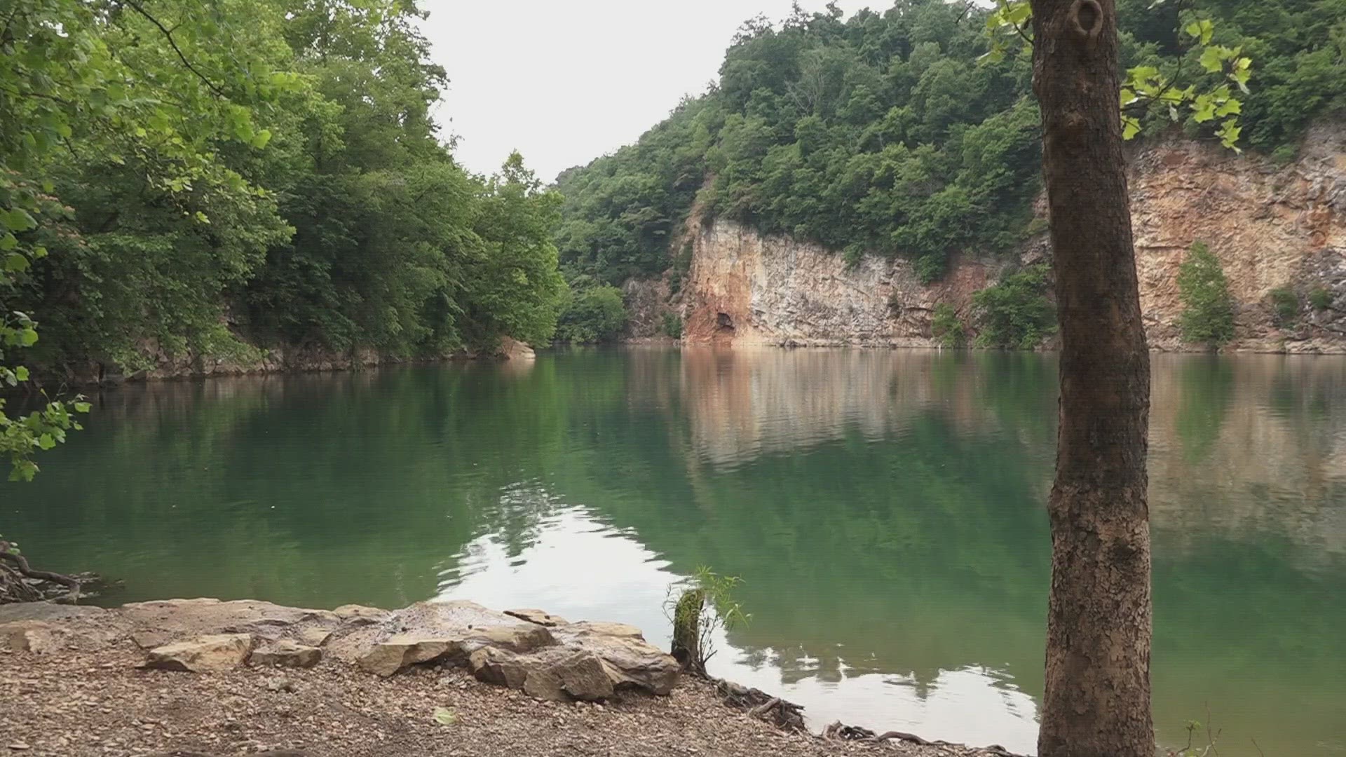 A popular swimming spot is Mead's Quarry at Ijam's Nature Center.