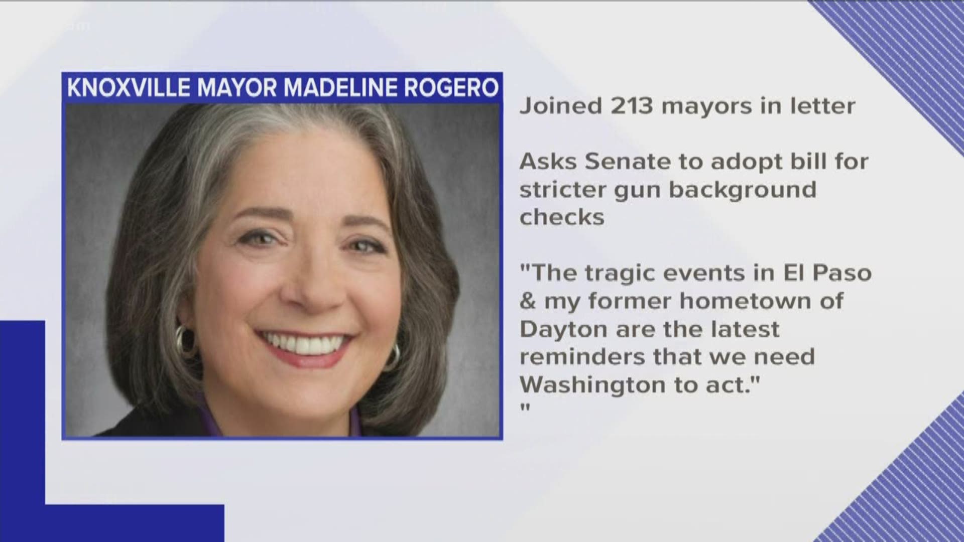 Knoxville Mayor Madeline Rogero has joined more than 200 other mayors in a push for gun safety legislation.