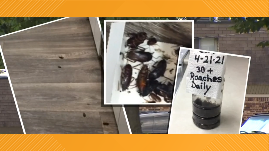 Pest Problem: Woman claims Davidson County apartment is riddled with roaches - Vimarsana News
