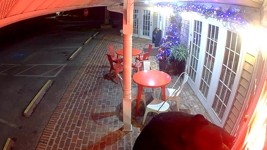 Gatlinburg cinnamon roll store captures video of black bear attempting break-in