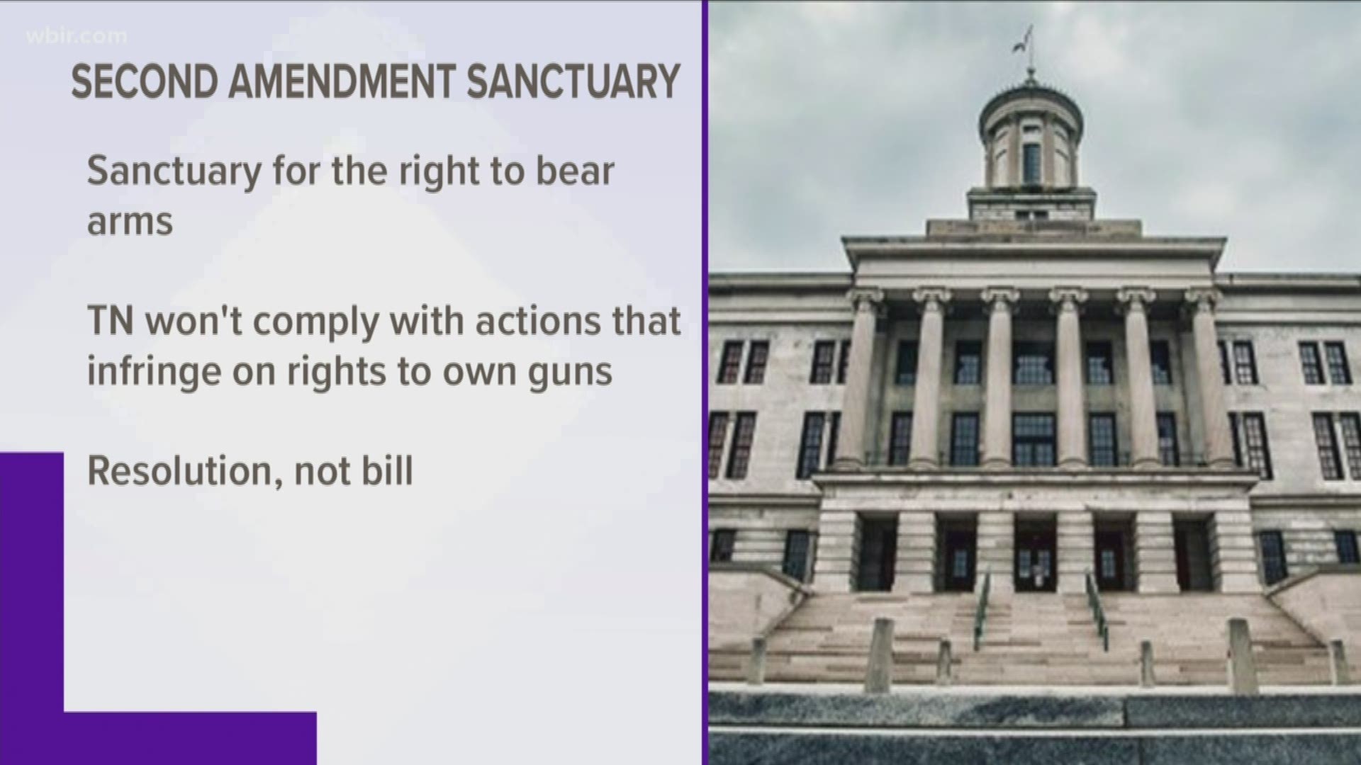 A resolution in the legislature would make the entire state a so-called sanctuary for the right to bear arms.