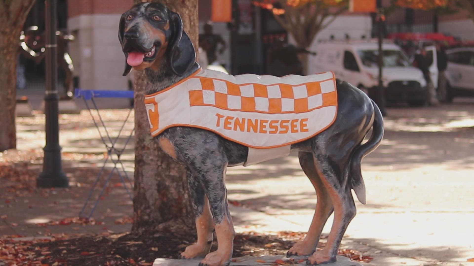 UT's beloved mascot witnessed his first ever win against Alabama after nine years of service to the team.