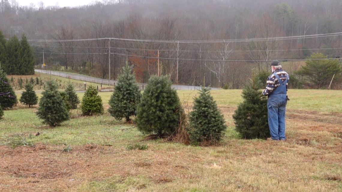 Christmas tree shortage worsens in East Tennessee as growers continue recovery from Hurricane Helene