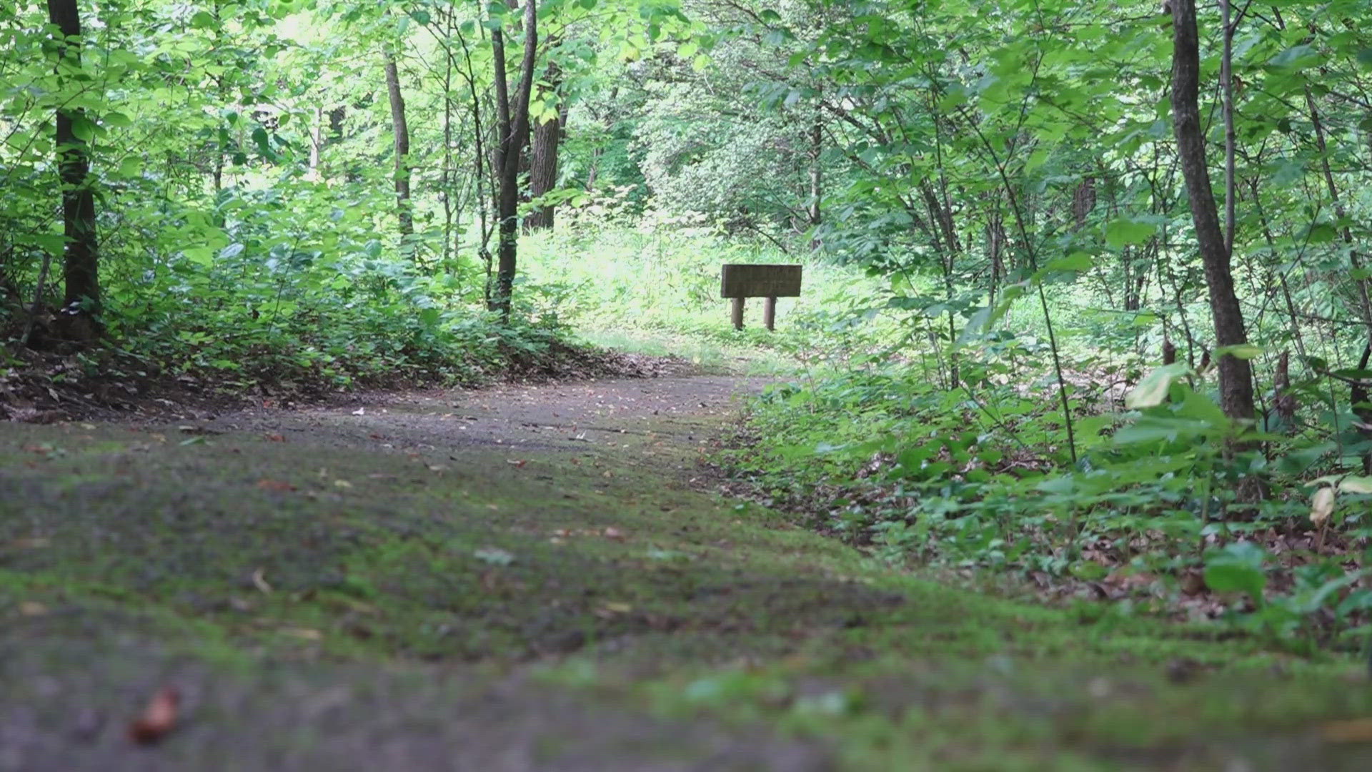 The Ijams Nature Center will upgrade the Serendipity Trail using a $50,000 state grant to enhance accessibility.