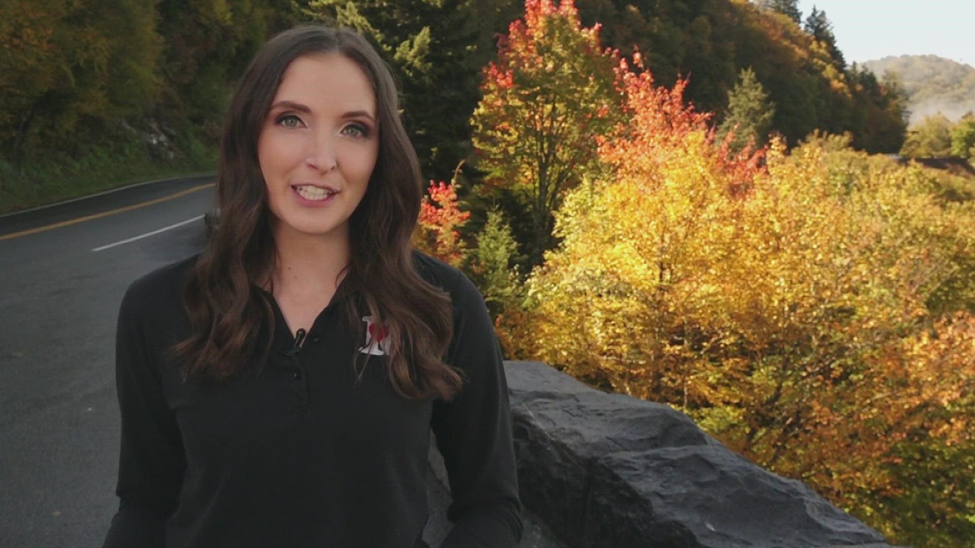 There's still a lot of green in the lower elevations of the foothills, but as you head higher up in the Smokies you'll be greeted with wonderful fall colors.