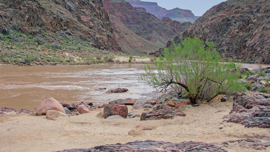 NPS: Chattanooga woman dies after falling into Colorado River at The Grand Canyon - Vimarsana News