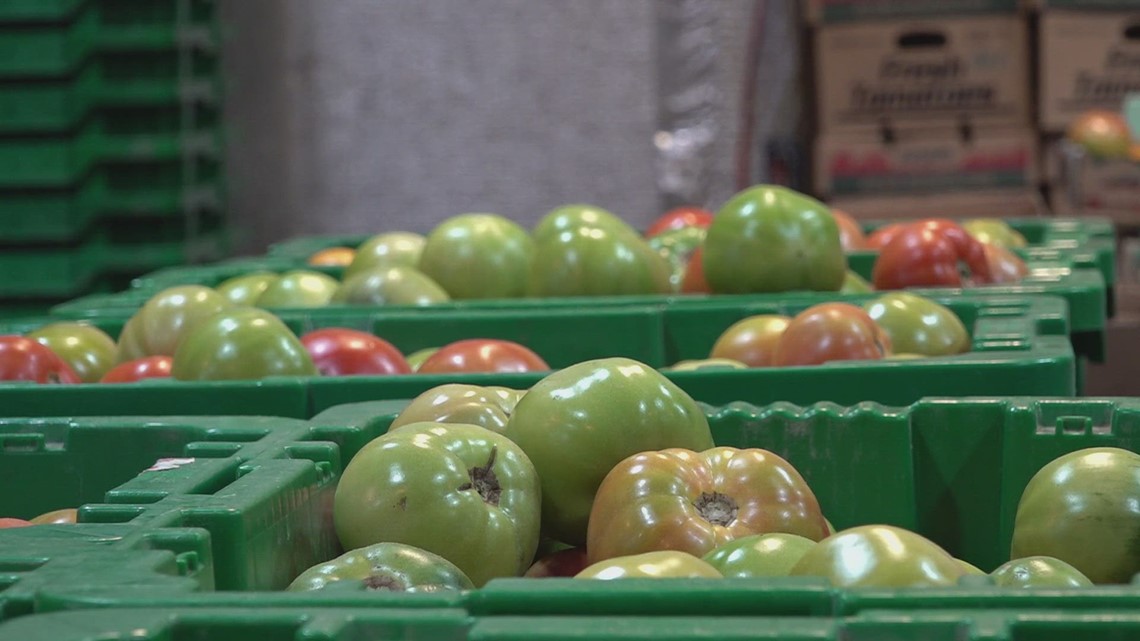 Farmers across East TN gearing up for a freeze - Vimarsana News