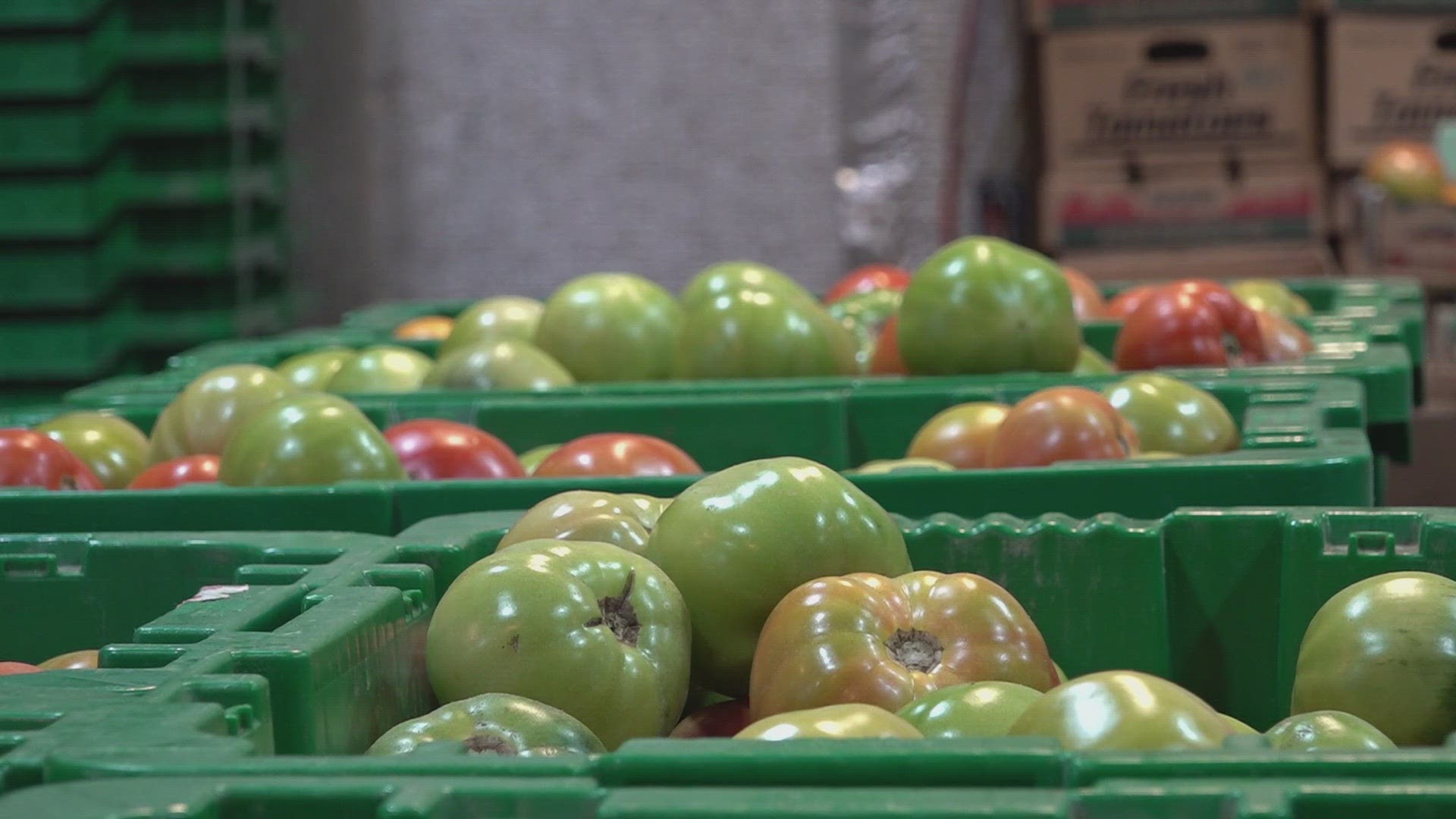 With a Freeze Warning and Freeze Watch in place for several counties, farmer Kim Stratton from Stratton Farms is harvesting his crops before the inevitable.