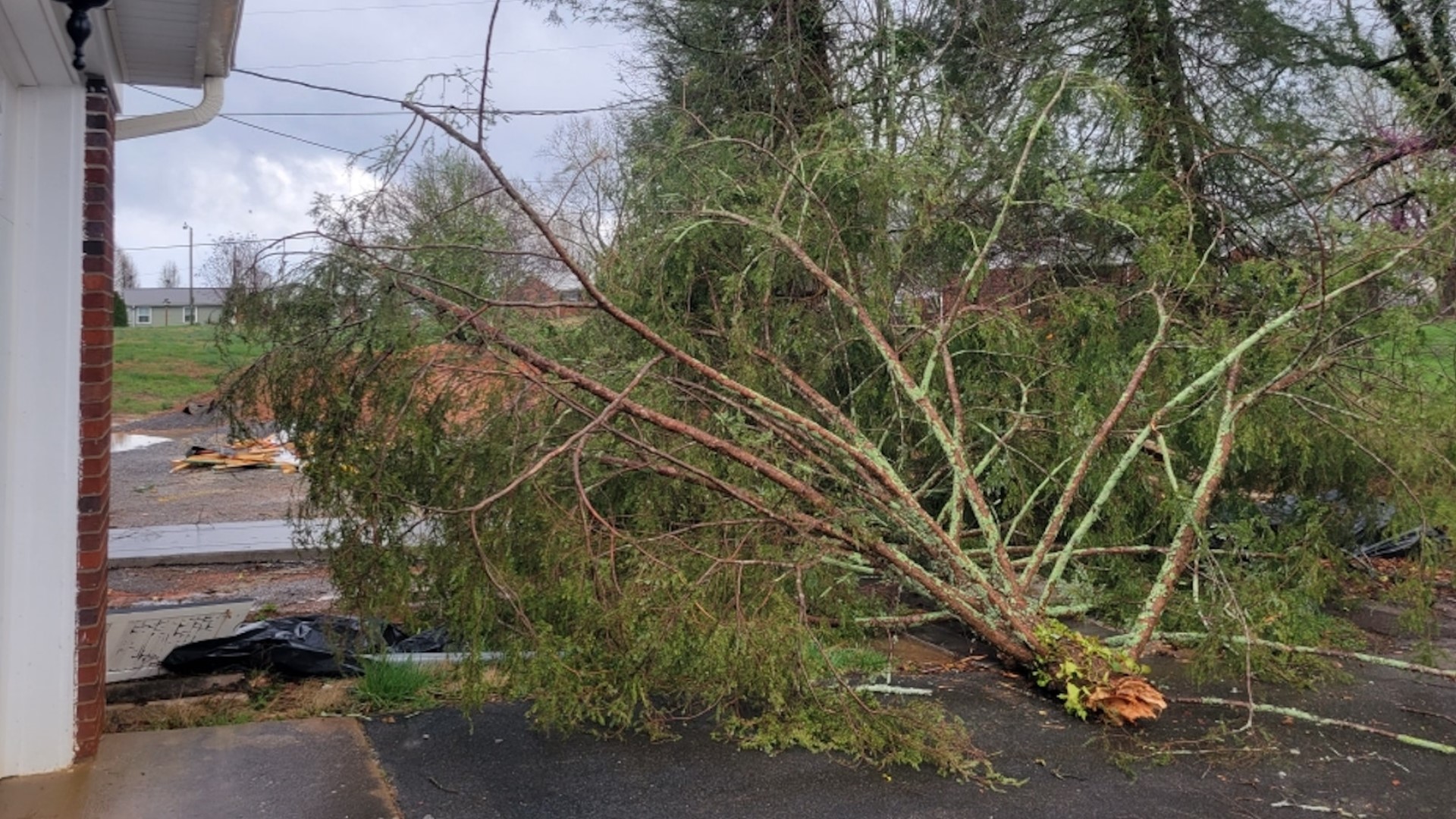 East TN sees damage, power outages after strong storms | wbir.com