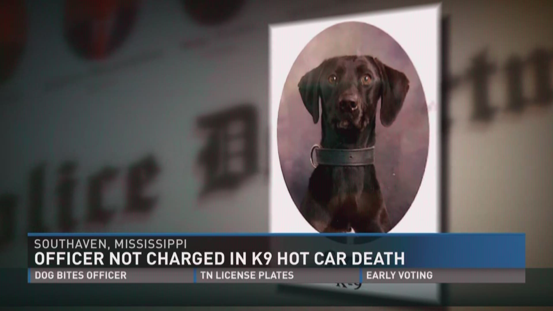 Aug. 18, 2017: A police officer won't face charges for the death of K-9 officer left in a hot car.