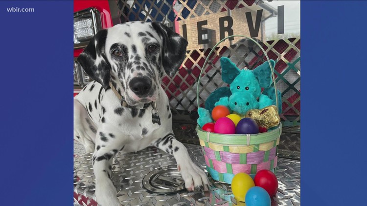 Ember and Sevierville Fire Department wishes everyone a Happy Easter!
