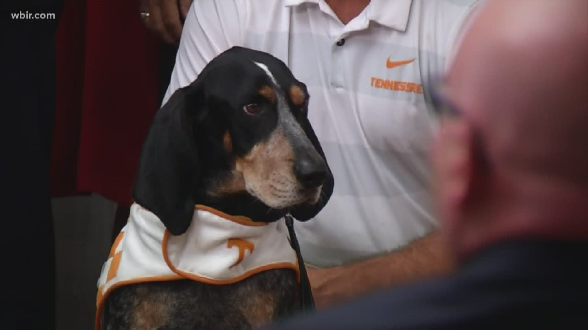 The Governor held a ceremonial signing to pen Smokey and his breed in as Tennessee's state dog.